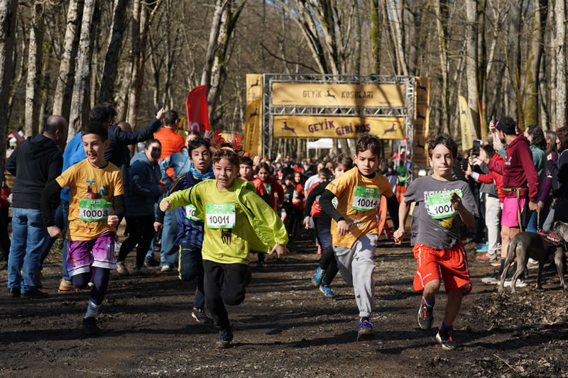 Geyik Ko�ular� 2026-02